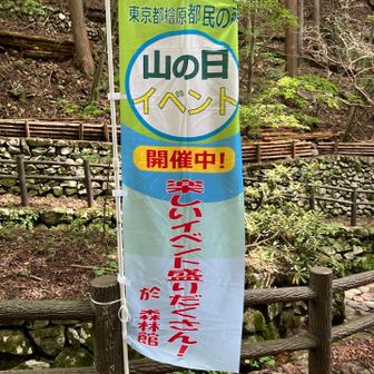 そういえば、今日は山の日でした😅