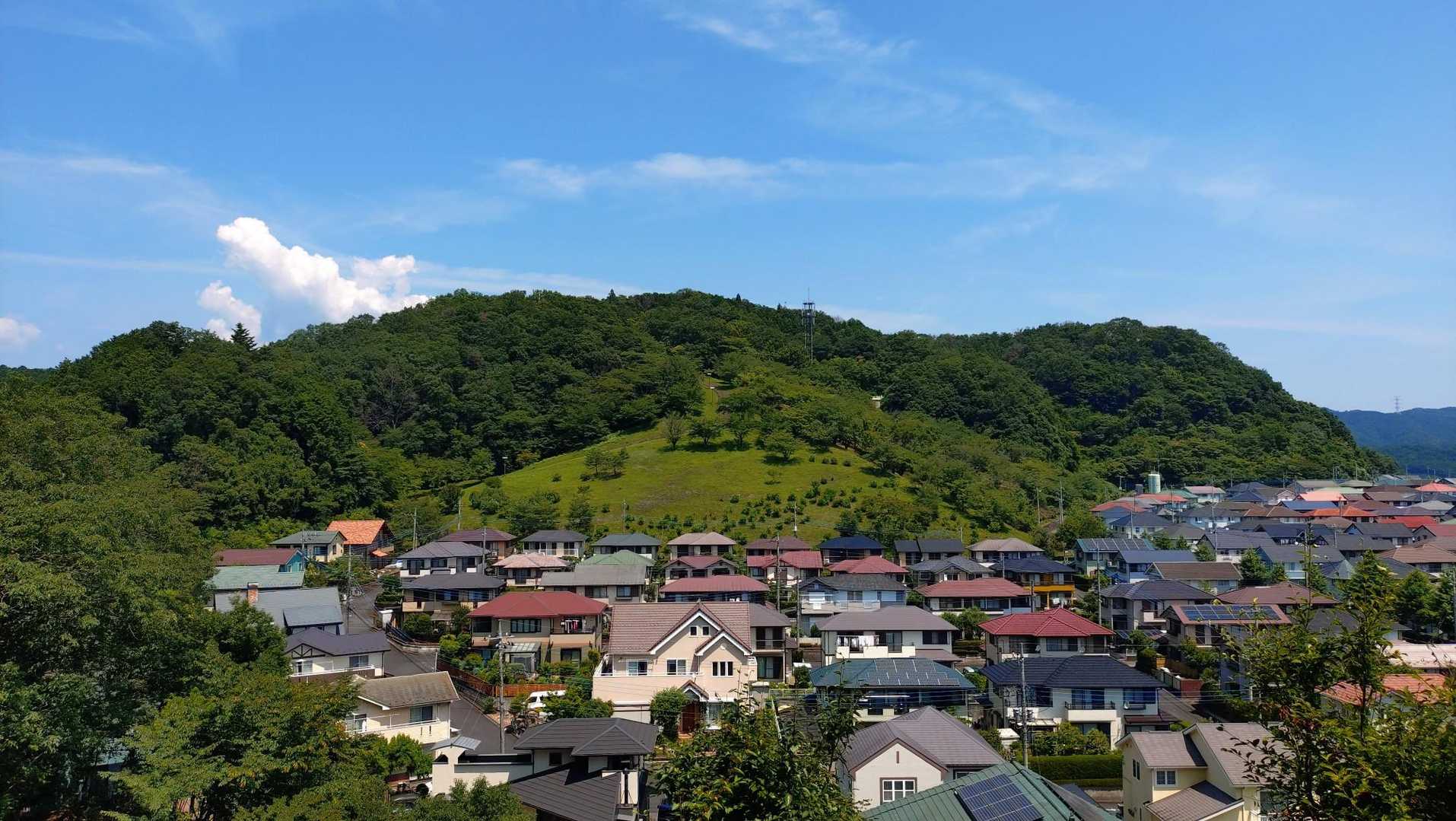 いい天気。いや暑いのよ。