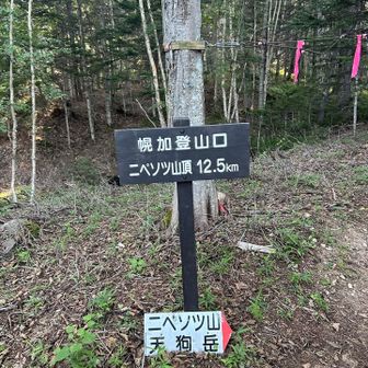到着〜