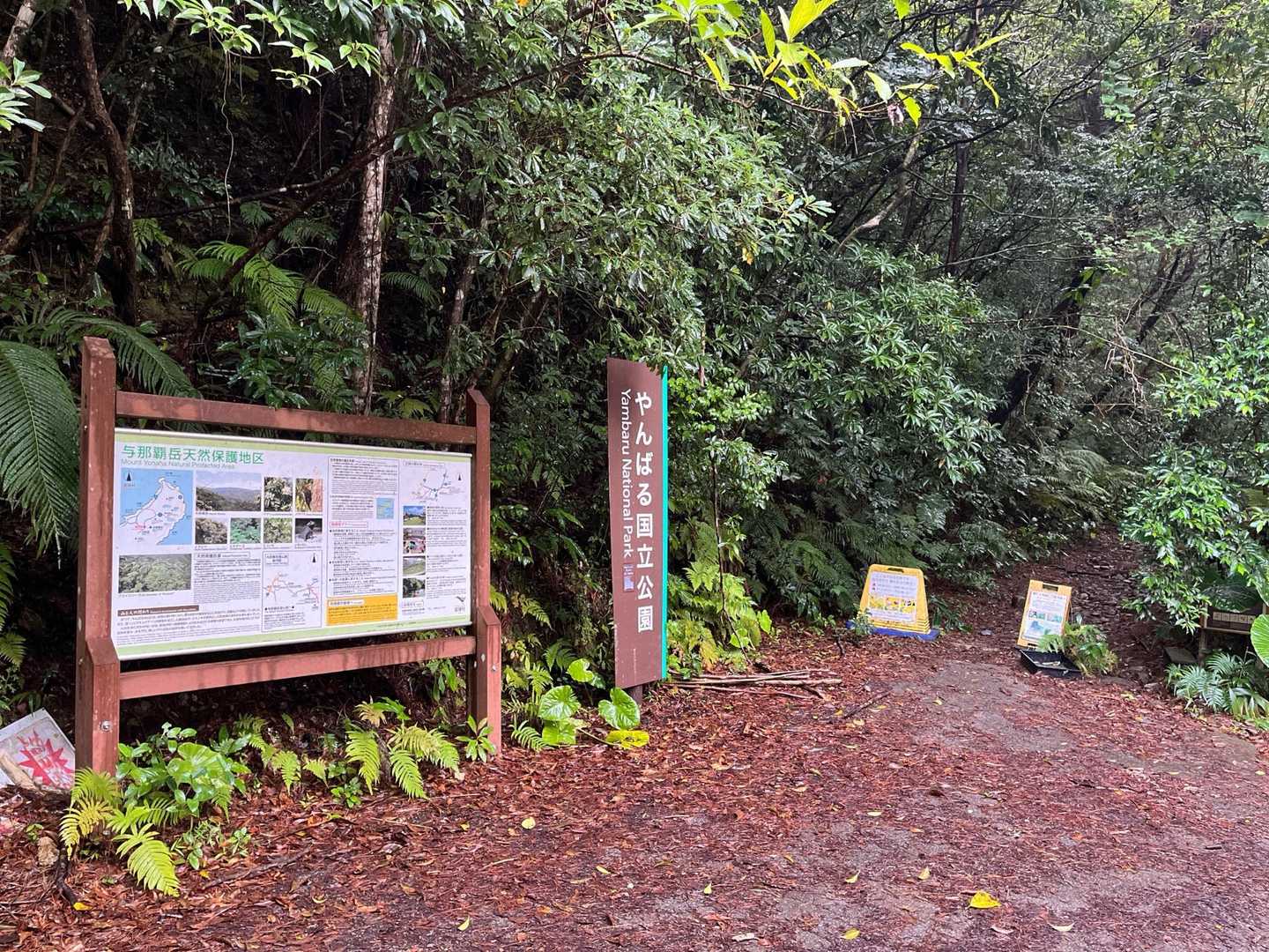 沖縄本島、やんばる(山原)国立公園にある、与那覇岳登山口⛰️にやって来ました