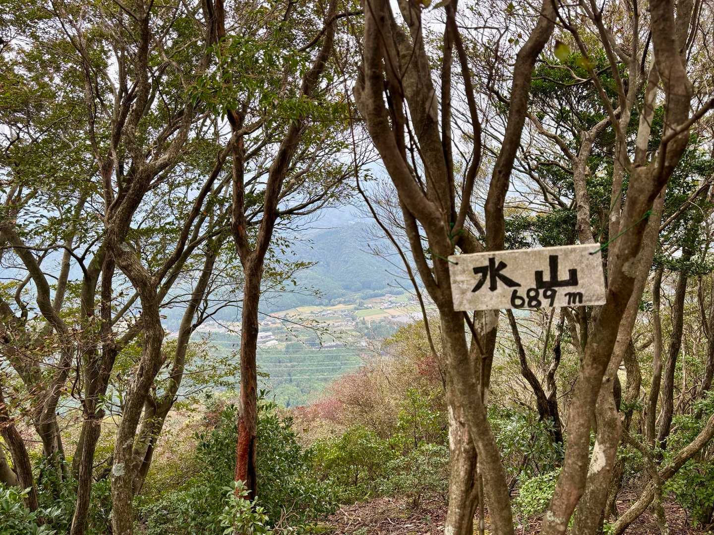 本日2座目の水山。丹波篠山の味間奥方向の眺望を拝むことができました☺️