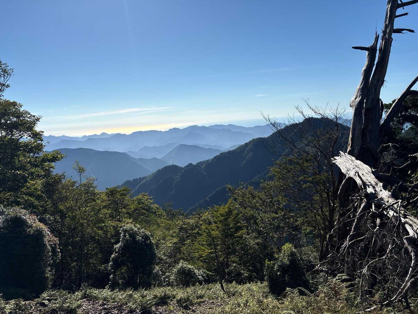 行仙岳-笠捨越-笠捨山 周回コースの写真