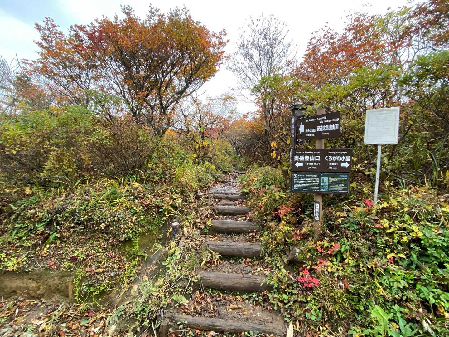 勢至平分岐
