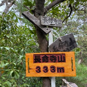 長命寺山⛰️
新しい表示付いてる！✨
333がいいですね〜

※昨日の10時以降につけられたみたい。
ホヤホヤの表示発見できて嬉しい！