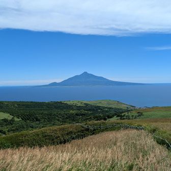 草原と利尻山