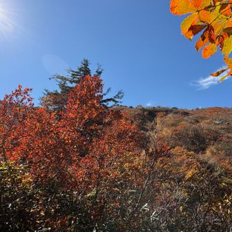 見渡せば…🍁