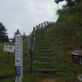 此処から登ります。