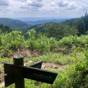 城山東斜面からの眺め
