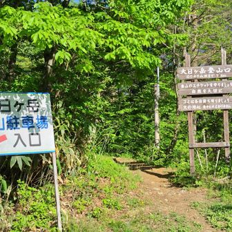 サンカヨウのレポを目にしたので大日ヶ岳へ

大日ヶ岳はかなり昔十何年前？ゲレンデから登った事が
その時の事、たまたま田中陽希ｻﾝが頂上に来てカメラマンさんが機材持ちながら超足が早くて感動した事を思い出した