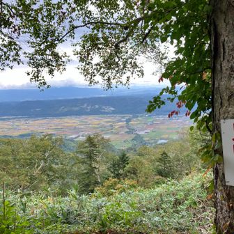 降りてくると天気良くなる
山登りあるあるは、今日も当てはまりました