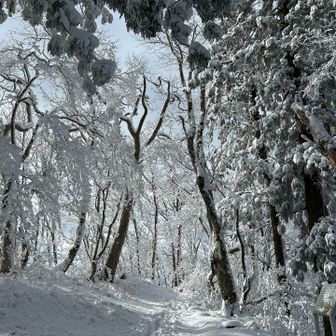 雪山じゃない感じの
雪の里山歩き
この時期の楽しみの一つ

今シーズンのスノーシュー始めは
どこでになるのか？