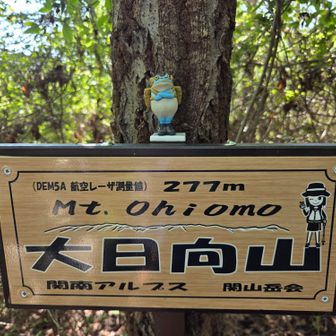 久しぶりの大日向山⛰️
標識の下で無事カエルさんの落とし物を発見🫡
山標の上に置いておきました🐸
落とし主さんカエルさんがご主人の所に無事帰れますように…🙏