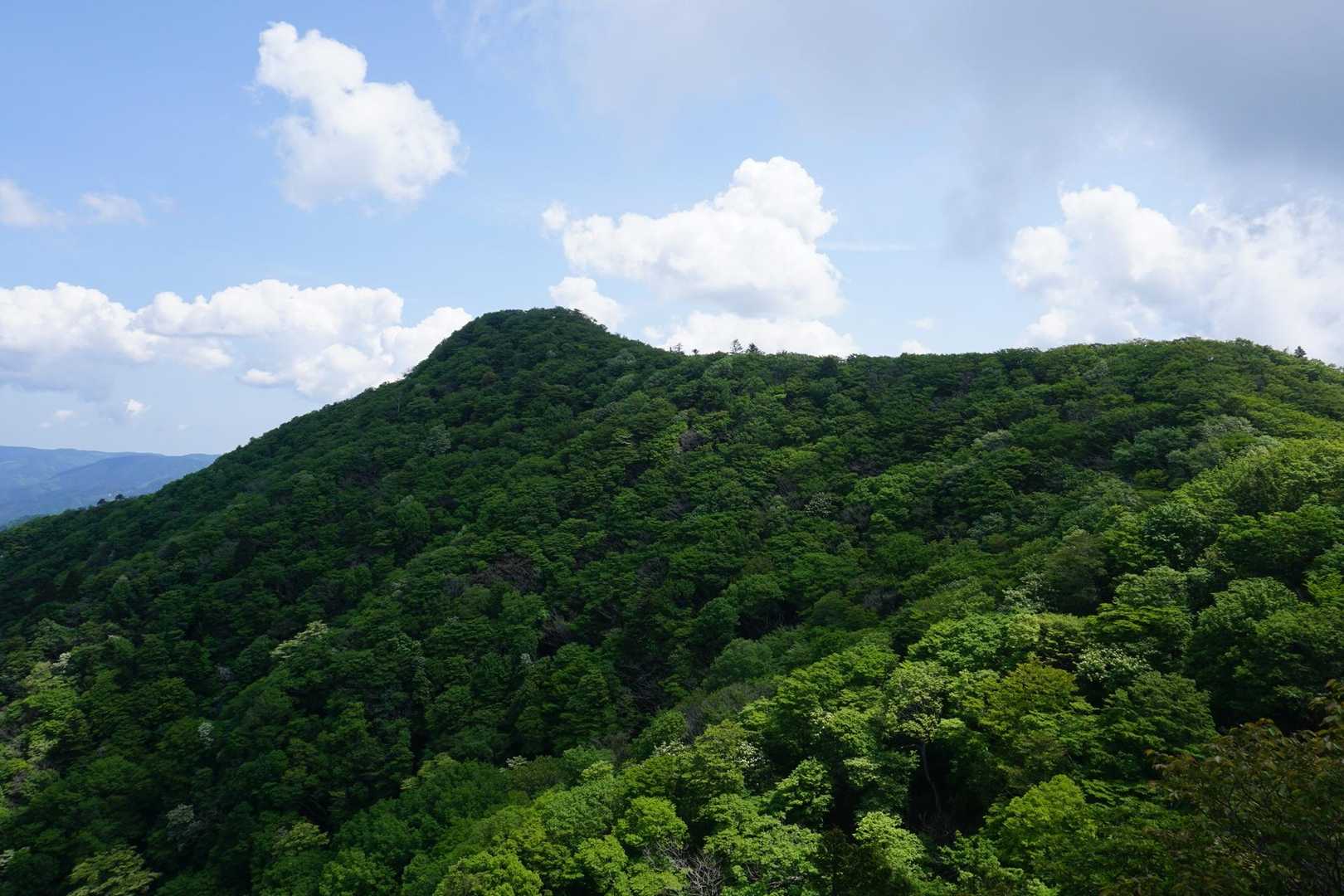 広戸仙-甲山 周回コースの写真