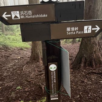 分岐で安藤広重の東海道五十三次で有名な薩埵峠に行ける。天気の良い日に行ってみたい🤭