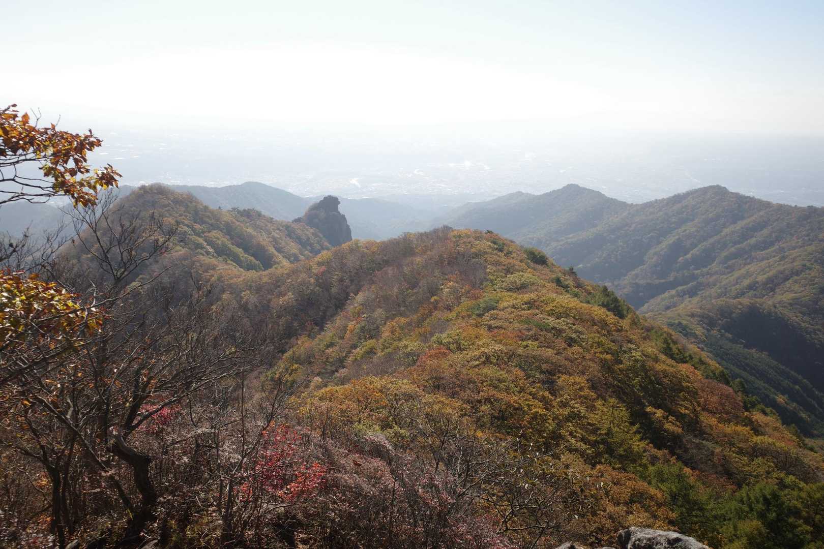 歩いてきた尾根を振り返って