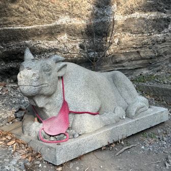 「牛にひかれて善光寺参り」の伝説の地？
と書いてありました