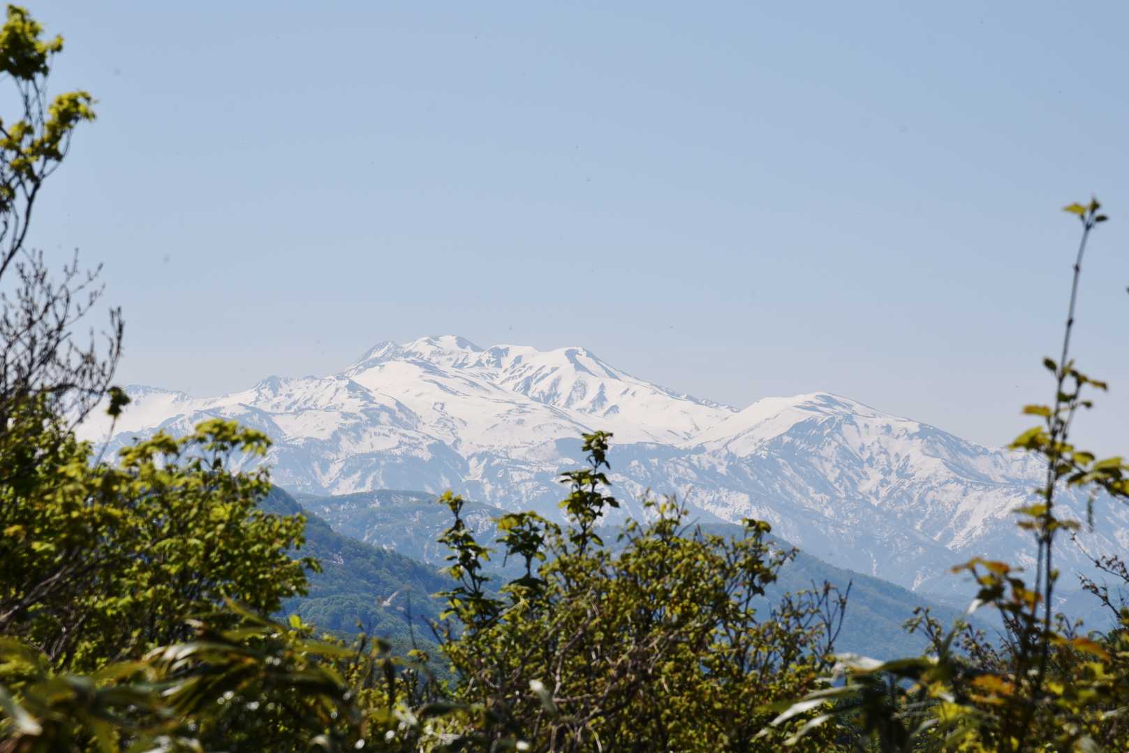 《奥獅子吼山 登り》

『白山』
すると山頂手前で愛する霊峰が♡　少しゼブラ状も素敵です(^^♪
(t)