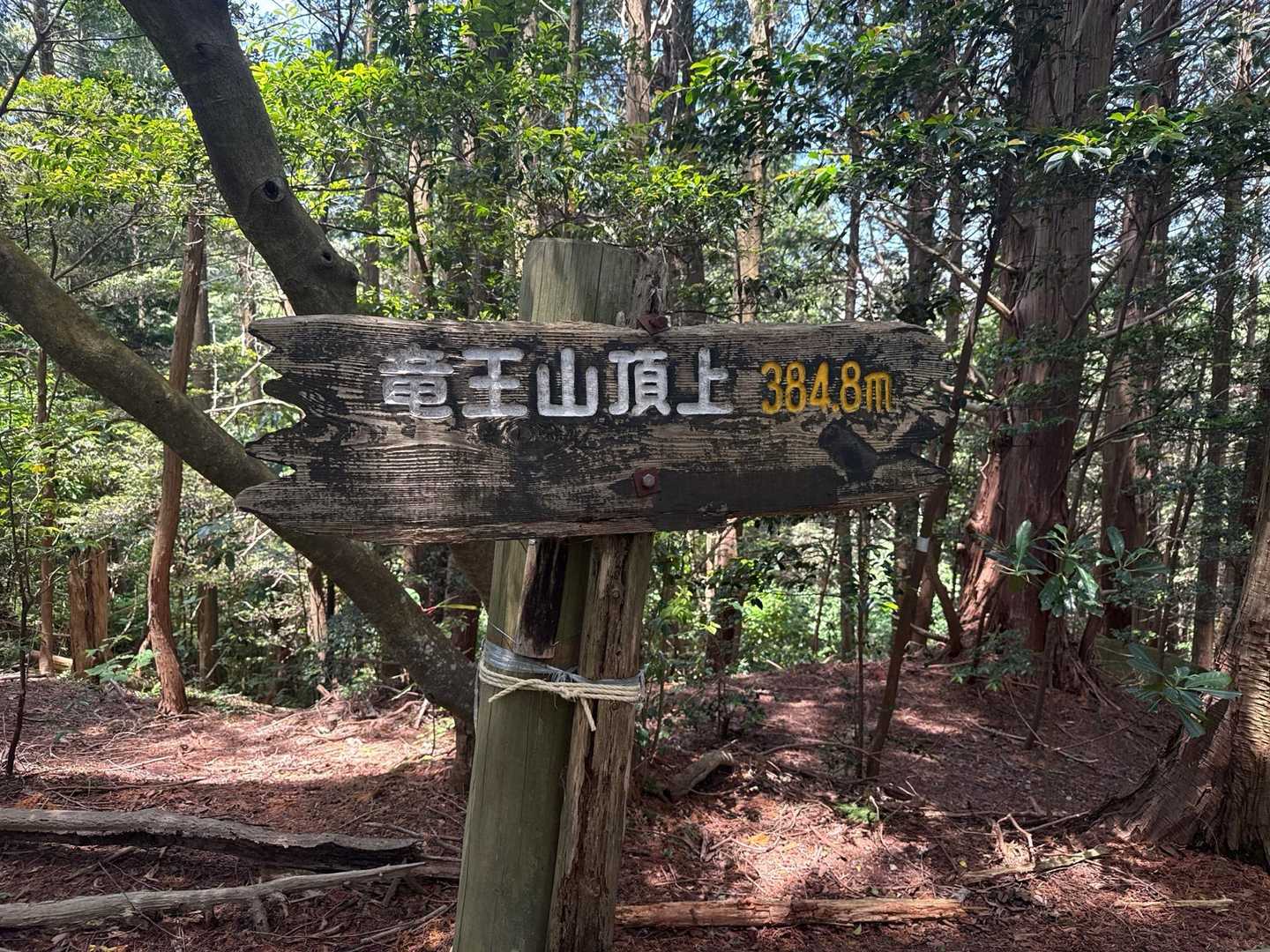 竜王山頂上到着！　眺望ないです