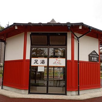 弥彦駅近く足湯！