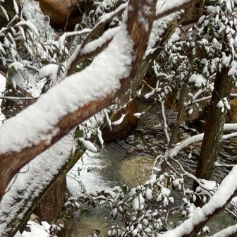 渓流を眺めながら