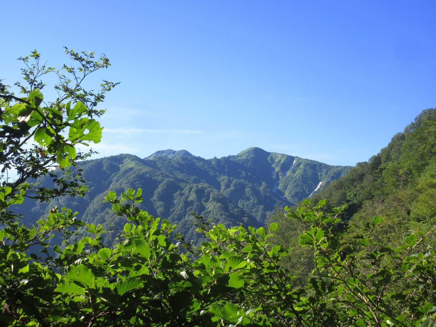 この山が 目的地かな🤔