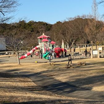賑わいのある遊園地。駐車場はその先。