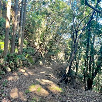 木漏れ日が気持ちいい✨