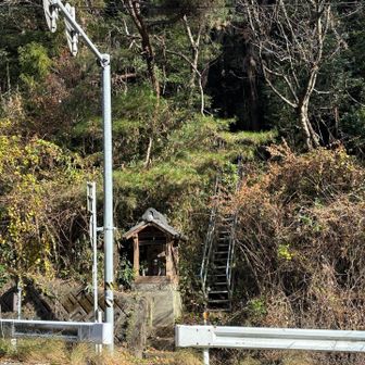 向山登山口の階段😀
交通量が多い県道をダッシュで渡ります⚠️🏃‍♀️