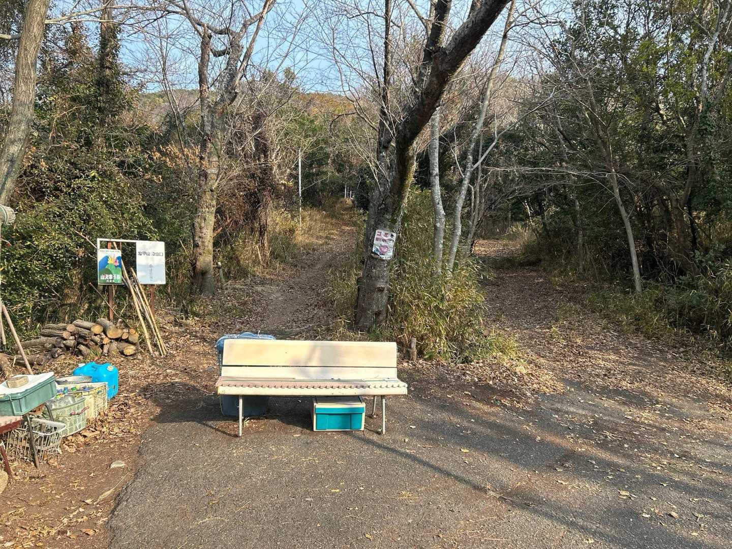 左側から登ります
ベンチの後