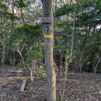 名称のプレート、これがあると嬉しくなっちゃう🥳