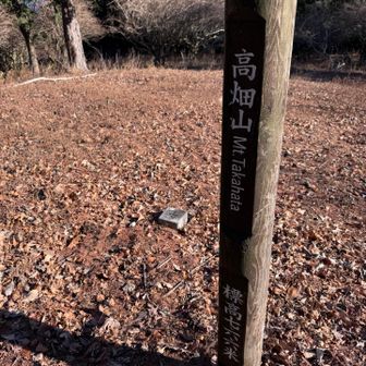 まずは，高畑山のピークへ。