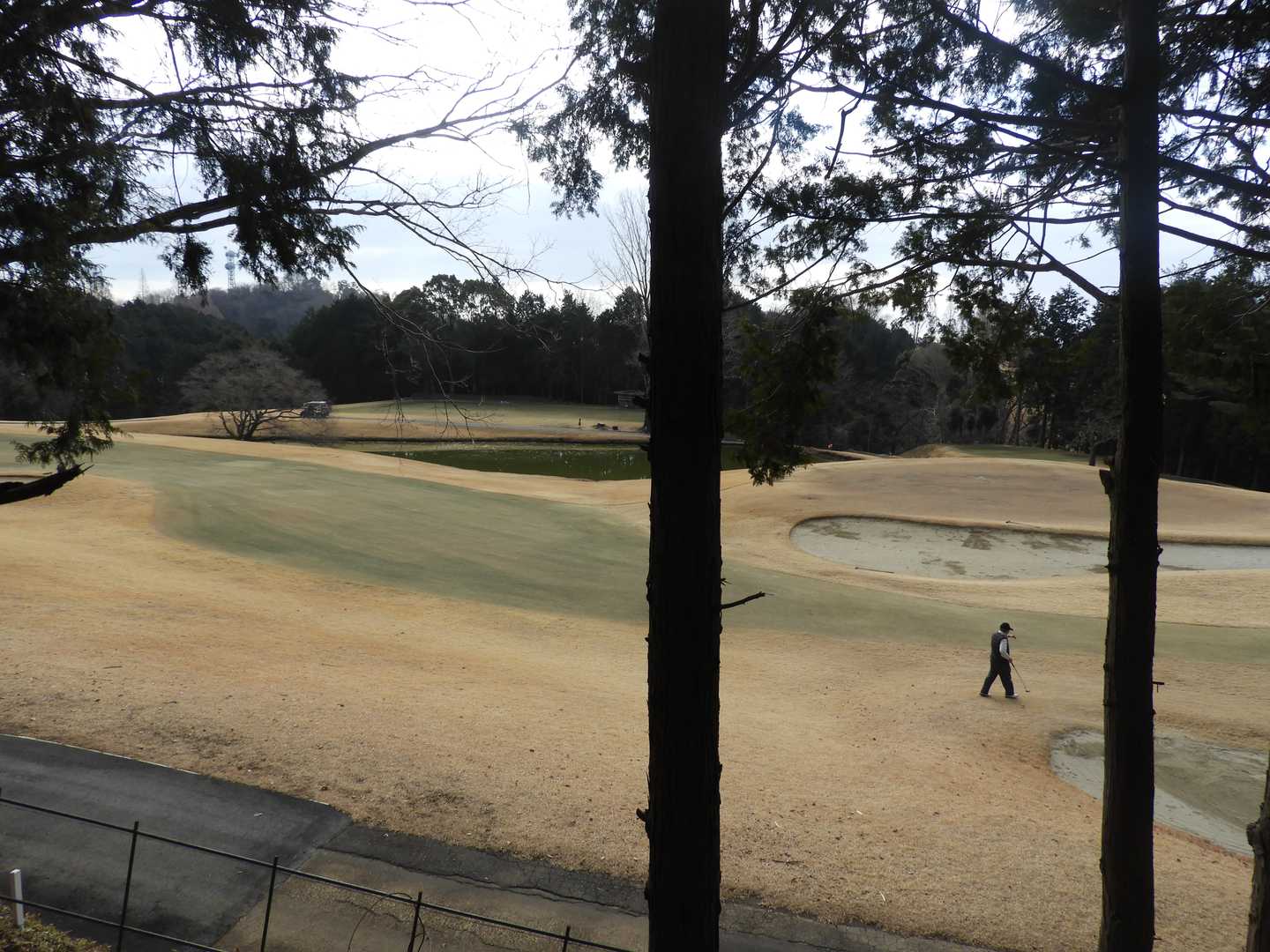 ＰＧＭ池田カントリークラブの横の五月山ドライブウェイを歩き