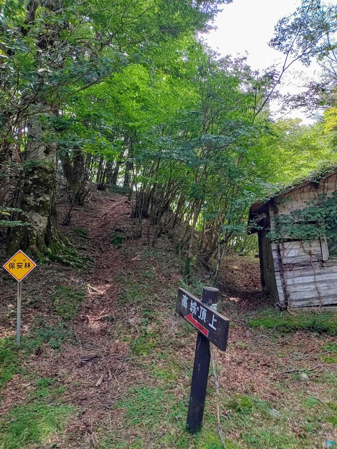 林道に降りるこっちの登山口へ下山