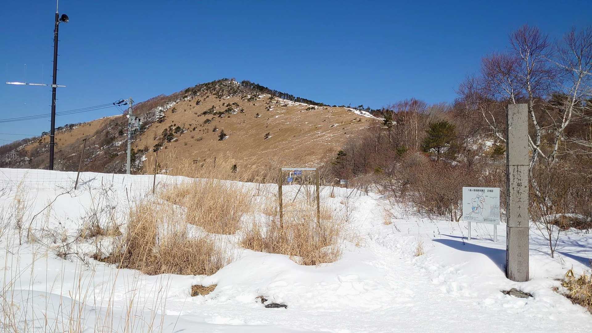 斜面の雪は融けてます