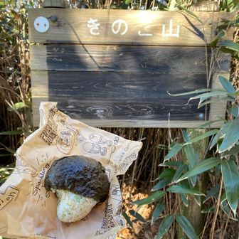きのこ山到着

🍙しいたけに、見、え、る、よ、ね？笑