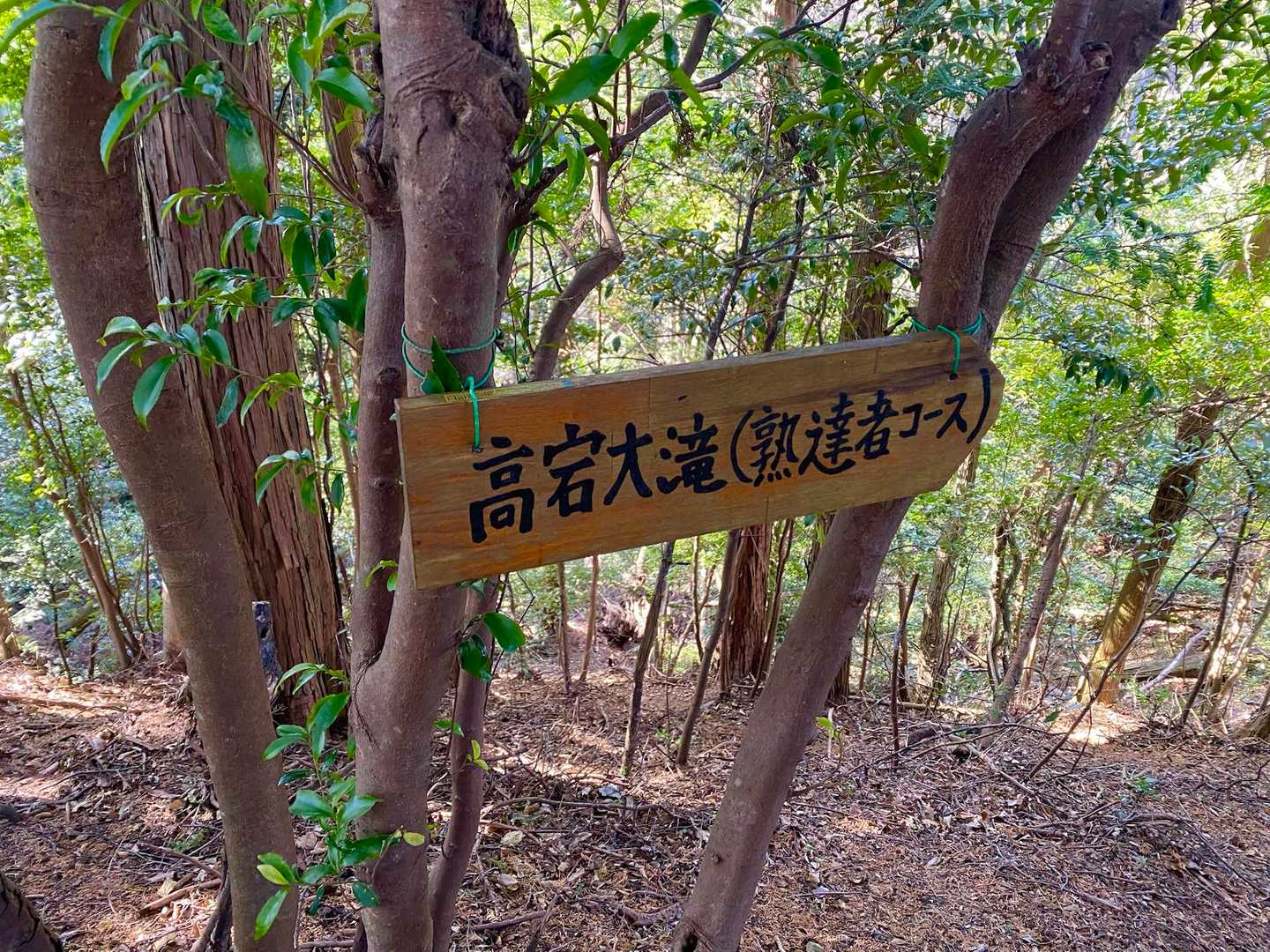 お手柔らかに🙏