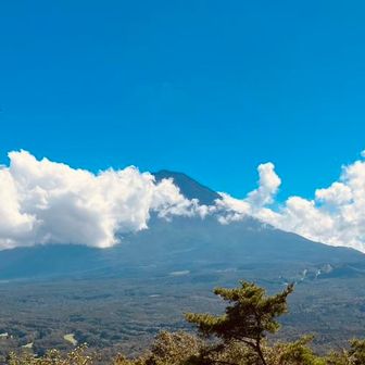 両膝爆弾抱え太郎