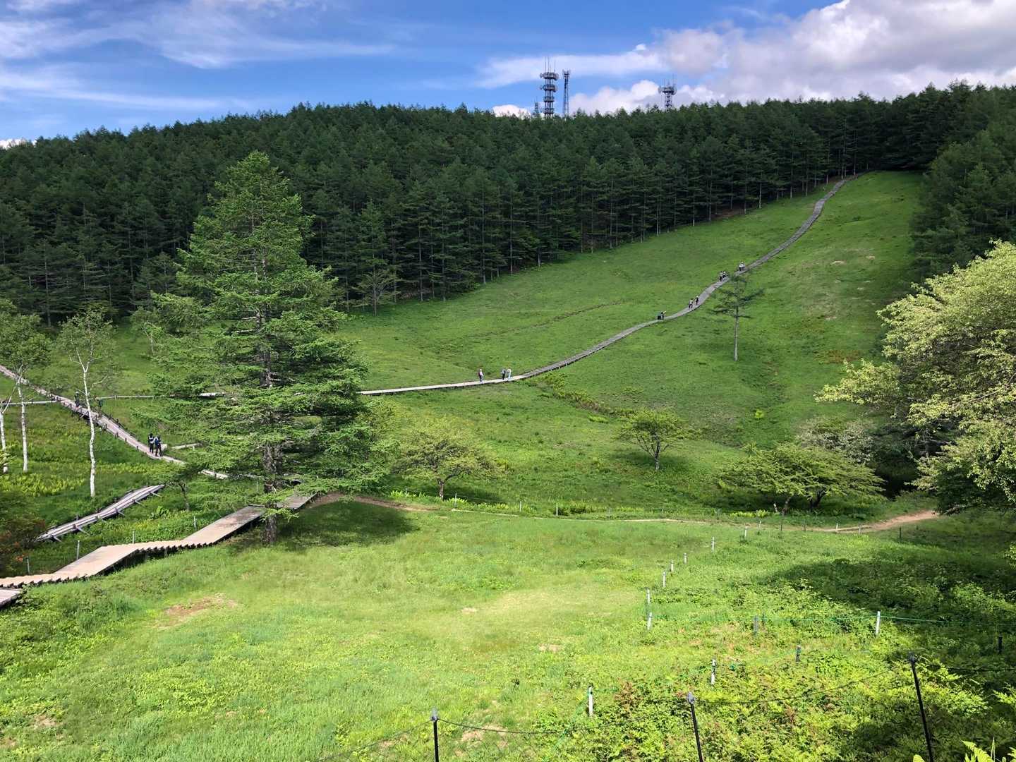 湿原を戻ります。