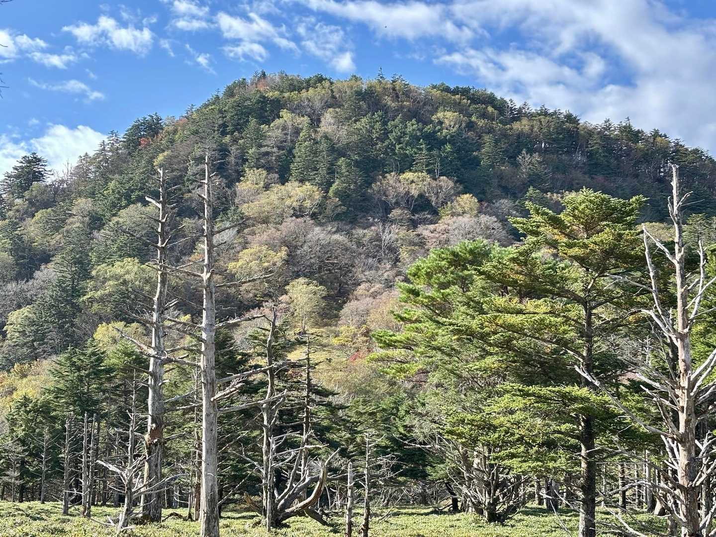 振り返って丸笹山⛰️