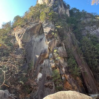 なかなかの迫力デス