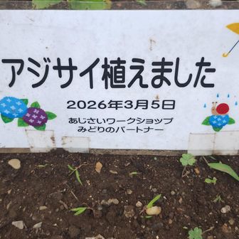 楽しみ🥰