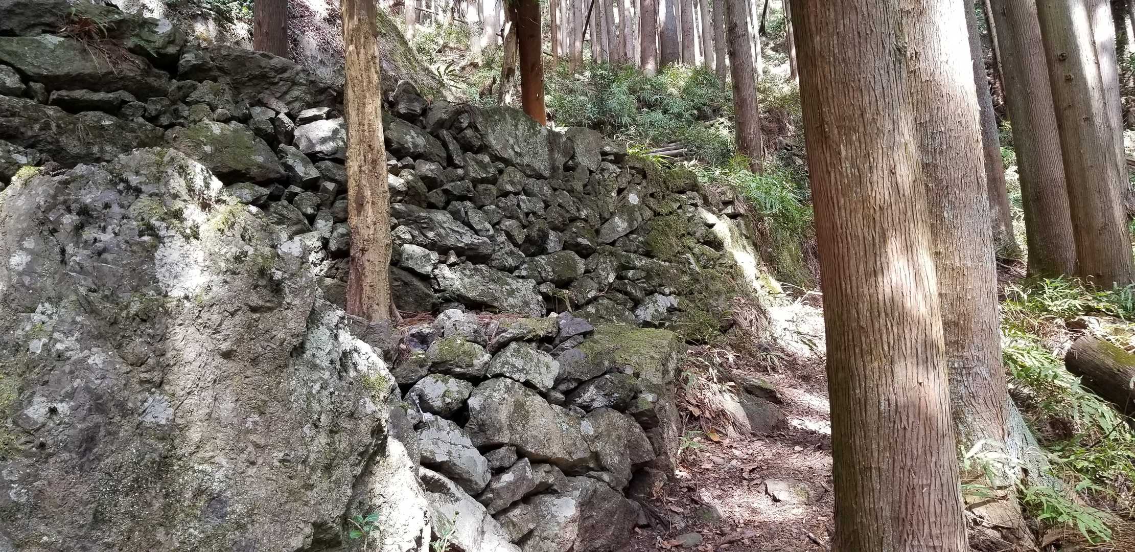 石垣が所々あります。昔は何か使われていたのでしょうか🏯