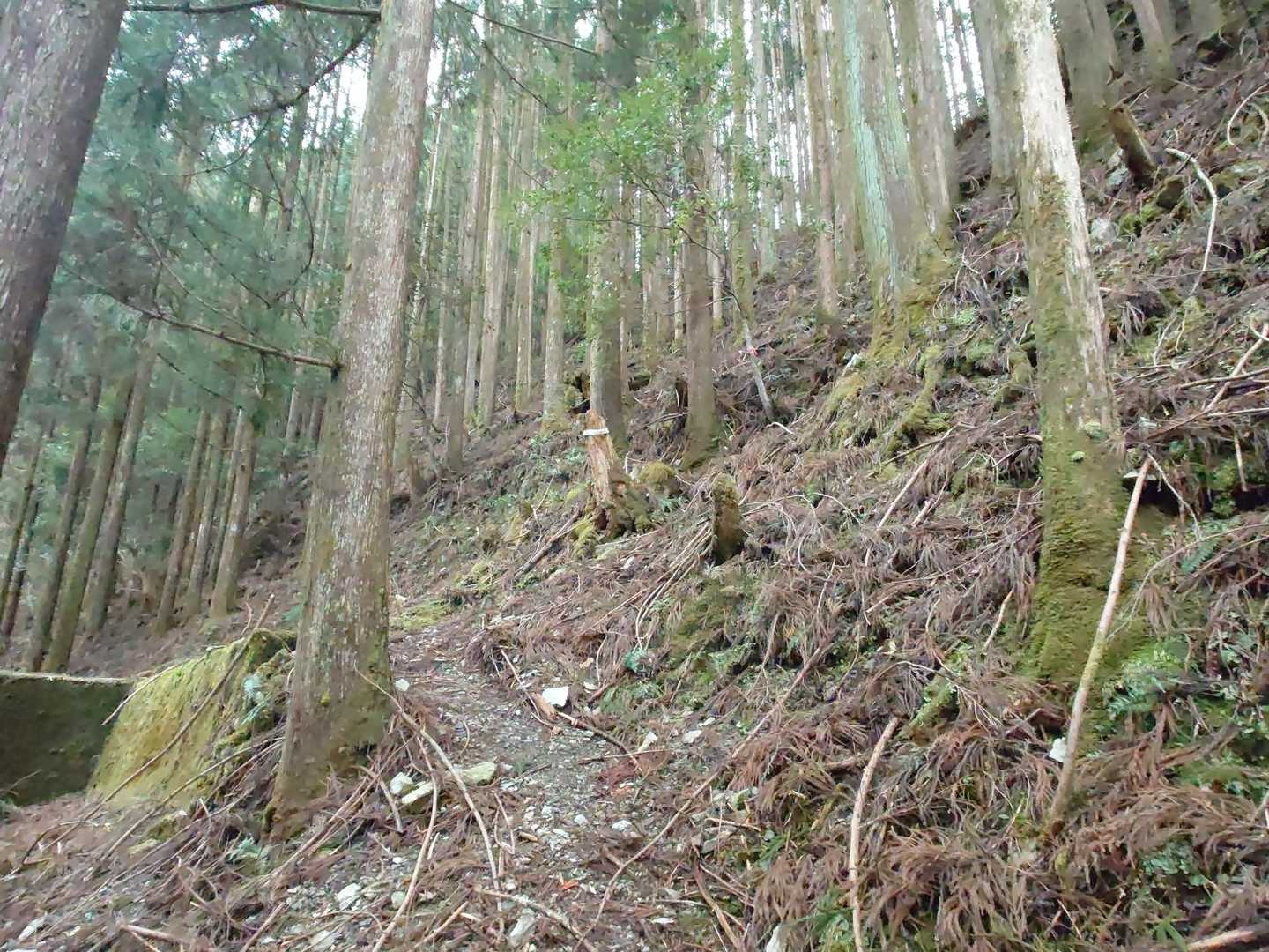 やっと、つづら折れに戻ってきました 😂😂
