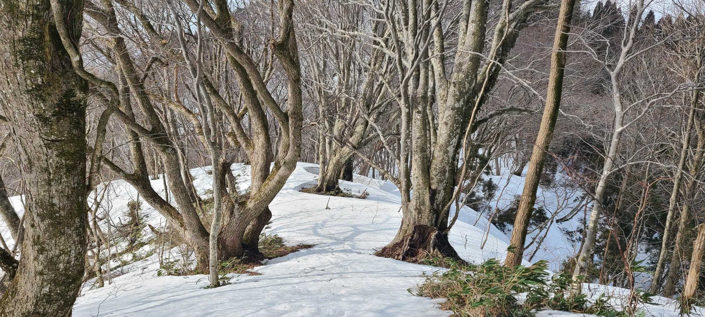 やっぱ好きやねん