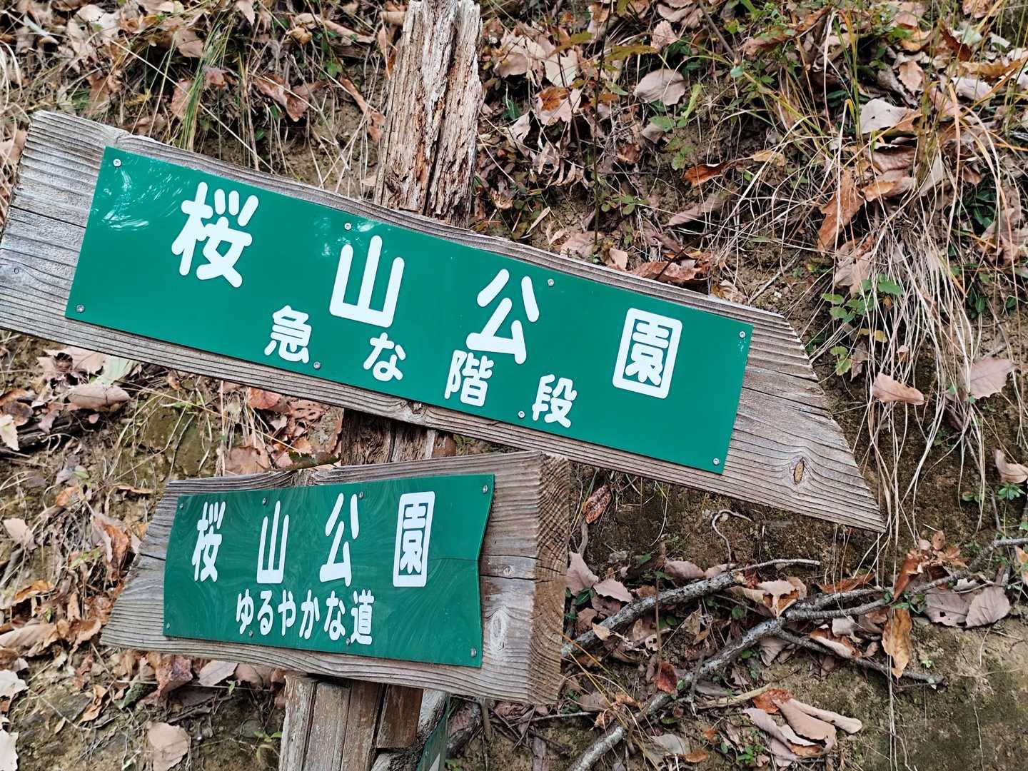 もちろん急な階段を選択します😊
ゆるやかな道と言うのは舗装された一般道の事です😁