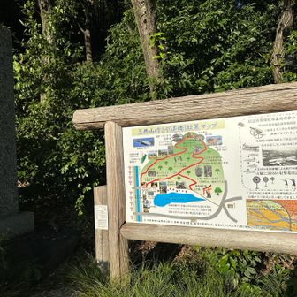 案内地図
