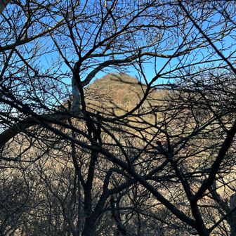 あそこに見えるは
『冠ヶ岳』
かなりのアップダウン（個人的感想💧）