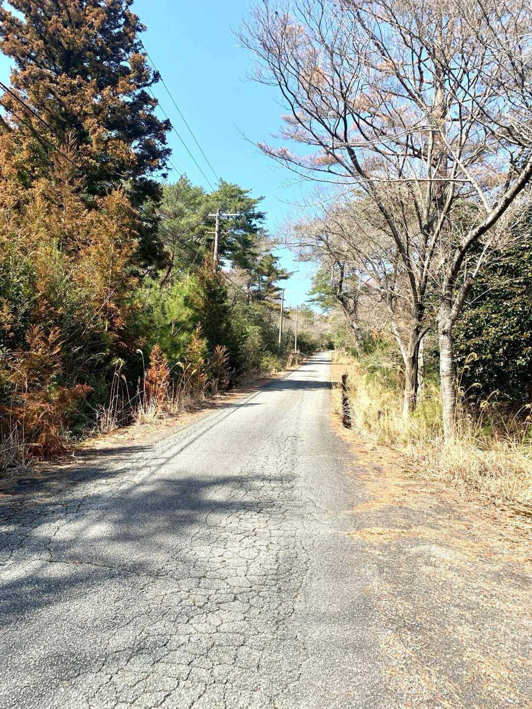 剣尾山登山口-剣尾山 往復コースの写真