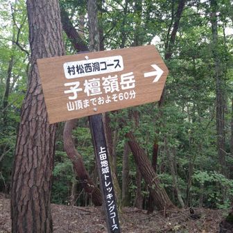 尾根に到着