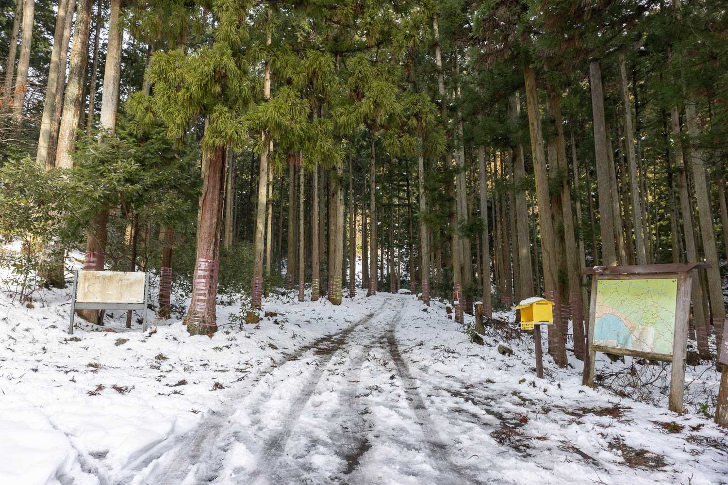 今日は栗原の登山口から
